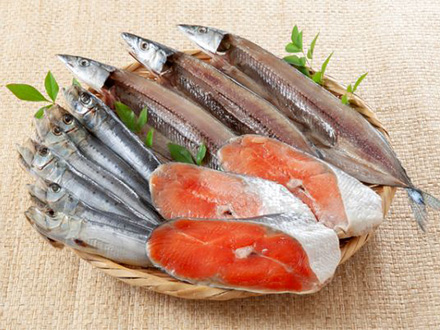 新鮮な魚を厳選